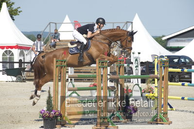 ridehesten csio3 140cm
Showjumping
Nøgleord: richard howley;dolores