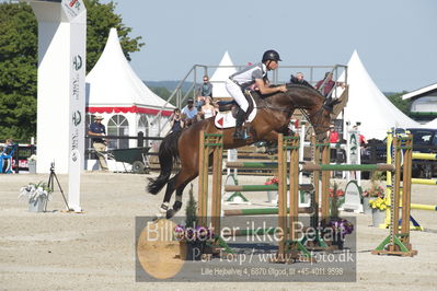 ridehesten csio3 140cm
Showjumping
Nøgleord: rolf gören bengtsson;ermindo w