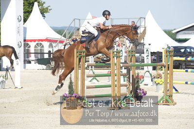 ridehesten csio3 140cm
Showjumping
Nøgleord: christian hess;allegro 412