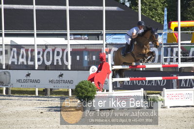 ridehesten csio3 140cm
Showjumping
Nøgleord: marina ehrnrooth;evli elington