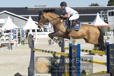 ridehesten csio3 140cm
Showjumping
Nøgleord: marina ehrnrooth;evli elington