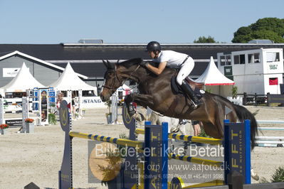 ridehesten csio3 140cm
Showjumping
Nøgleord: morgan bordat;star de la beviere