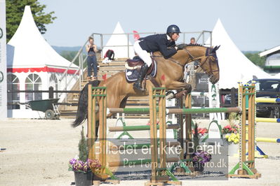 ridehesten csio3 140cm
Showjumping
Nøgleord: arnaud doem;edgard de prefontaine