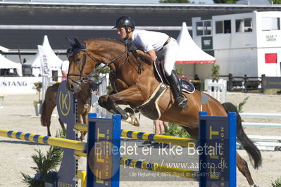 ridehesten csio3 140cm
Showjumping
Nøgleord: paul delforge;uschka du tassier