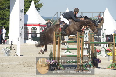 ridehesten csio3 140cm
Showjumping
Nøgleord: patrick lemmen;dadullah