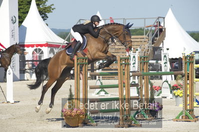 ridehesten csio3 140cm
Showjumping
Nøgleord: karina leichle;dante 111