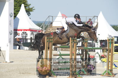 ridehesten csio3 140cm
Showjumping
Nøgleord: emily ward;wild rose