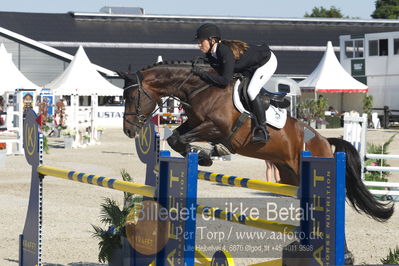 ridehesten csio3 140cm
Showjumping
Nøgleord: karen møller rohde;quarz ask