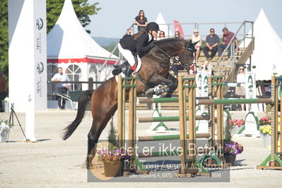 ridehesten csio3 140cm
Showjumping
Nøgleord: karen møller rohde;quarz ask