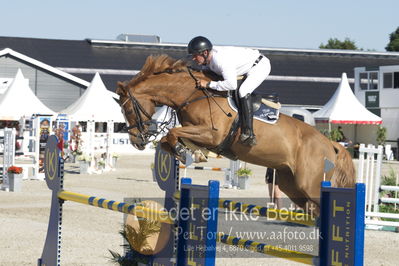 ridehesten csio3 140cm
Showjumping
Nøgleord: torben frandsen;quirock