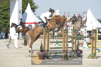 ridehesten csio3 140cm
Showjumping
Nøgleord: torben frandsen;quirock