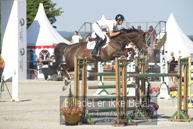 ridehesten csio3 140cm
Showjumping
Nøgleord: fredrik spetz;janou