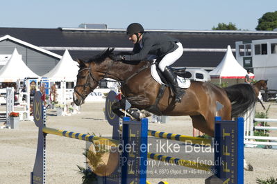 ridehesten csio3 140cm
Showjumping
Nøgleord: søren møller rohde;velerne ask