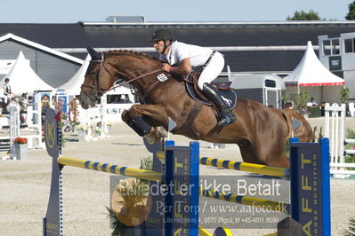 ridehesten csio3 140cm
Showjumping
Nøgleord: lars trier kjoeller;royal butterfly