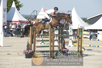 ridehesten csio3 140cm
Showjumping
Nøgleord: matteo checchi;alpina de rouhet