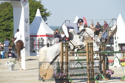 ridehesten csio3 140cm
Showjumping
