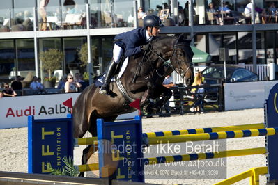 csio 3 big tour 145cm
Showjumping
Nøgleord: matteo leonardi;centennial paardesm z