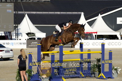 csio 3 big tour 145cm
Showjumping
Nøgleord: kevin olsmeyer;dalvaro 2