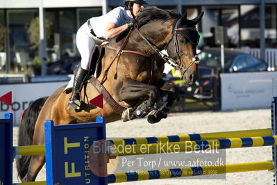 csio 3 big tour 145cm
Showjumping
Nøgleord: jessie drea;mullaghdrin touch the stars