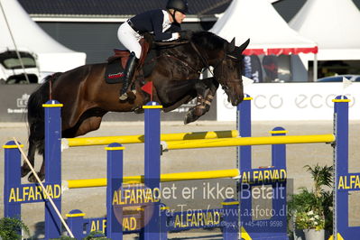 csio 3 big tour 145cm
Showjumping
Nøgleord: zascha n andreasen;diocento