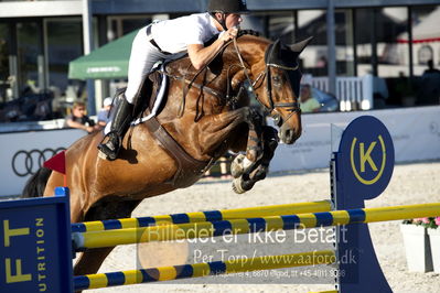 csio 3 big tour 145cm
Showjumping
Nøgleord: maksymilian wechta;ceitia II