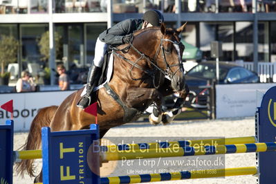 csio 3 big tour 145cm
Showjumping
Nøgleord: søren møller rohde;todt un prince ask