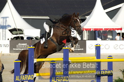 csio 3 big tour 145cm
Showjumping
Nøgleord: søren møller rohde;todt un prince ask