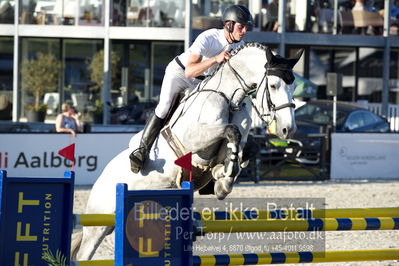 csio 3 big tour 145cm
Showjumping
Nøgleord: bart van der maat;cassirano del rilate