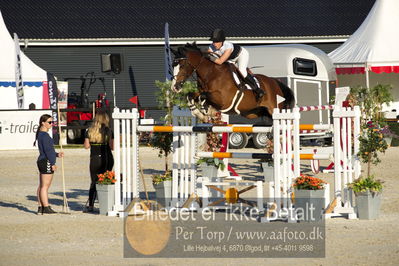 csio 3 big tour 145cm
Showjumping
Nøgleord: victoria gulliksen;viego les hauts