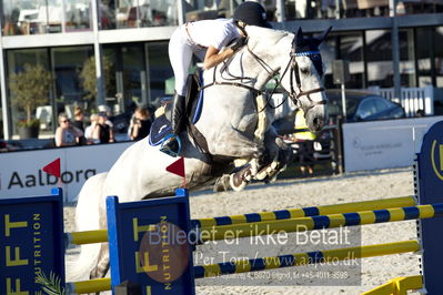 csio 3 big tour 145cm
Showjumping
Nøgleord: sofie westborg;cadans z