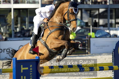 csio 3 big tour 145cm
Showjumping
Nøgleord: torben frandsen;highrise