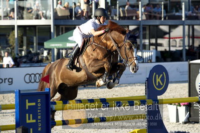 csio 3 big tour 145cm
Showjumping
Nøgleord: jacqueline lai;basta