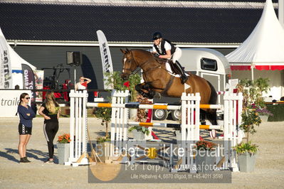 csio 3 big tour 145cm
Showjumping
Nøgleord: stine cassoe jacobsen;conchillo