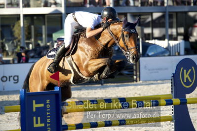 csio 3 big tour 145cm
Showjumping
Nøgleord: paul delforge;terre du banney