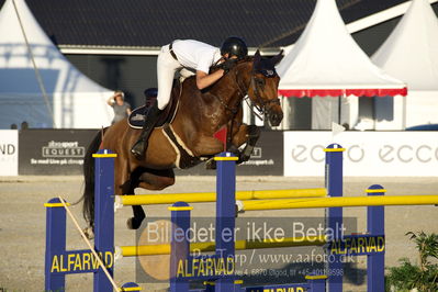 csio 3 big tour 145cm
Showjumping
Nøgleord: paul delforge;terre du banney