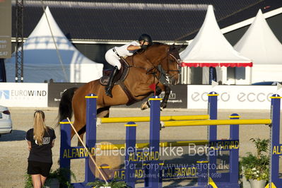 csio 3 big tour 145cm
Showjumping
Nøgleord: annelies vorsselmans;wilandro 3