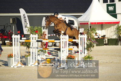 csio 3 big tour 145cm
Showjumping
Nøgleord: annelies vorsselmans;wilandro 3