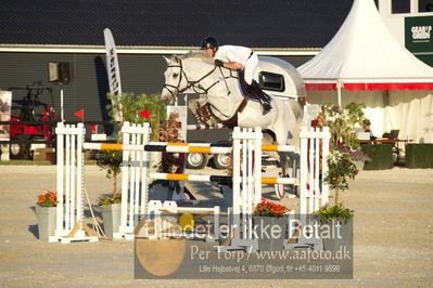 csio 3 big tour 145cm
Showjumping
Nøgleord: glenn knoester;clint easter