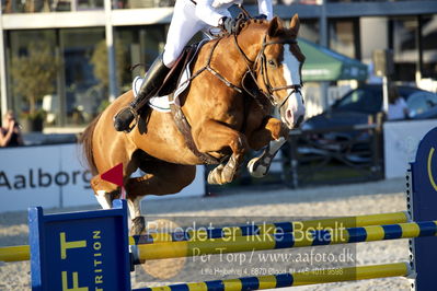 csio 3 big tour 145cm
Showjumping
Nøgleord: emeric george;chopin des hayettes