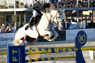 csio 3 big tour 145cm
Showjumping
Nøgleord: jeroen appelen;grappeloup van het reenhof