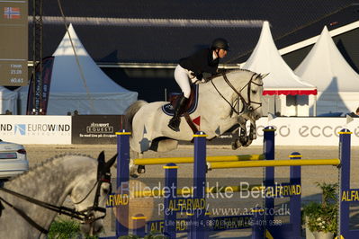 csio 3 big tour 145cm
Showjumping
Nøgleord: line karlsen raaholt;clooney II