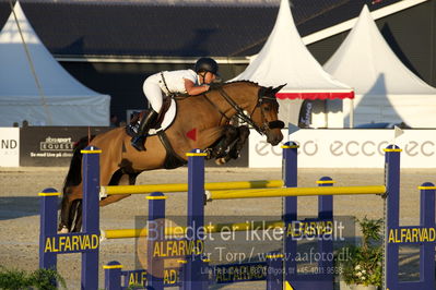 csio 3 big tour 145cm
Showjumping
Nøgleord: francesca ciriesi;little lord