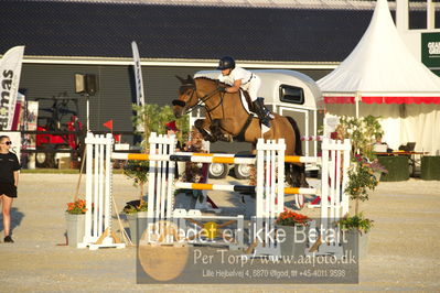 csio 3 big tour 145cm
Showjumping
Nøgleord: francesca ciriesi;little lord