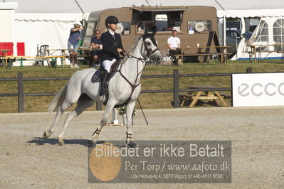 Csi1 two phases 135cm
Showjumping
Nøgleord: anne kristine truelsen;cosma shiva s