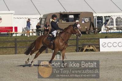 Csi1 two phases 135cm
Showjumping
Nøgleord: melinda ma;gladiator s