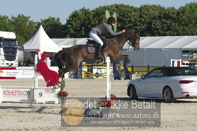 Csi1 two phases 135cm
Showjumping
Nøgleord: christine thirup christensen;afghan