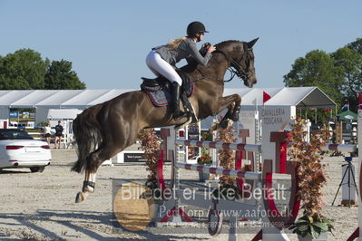 Csi1 two phases 135cm
Showjumping
Nøgleord: christine thirup christensen;afghan