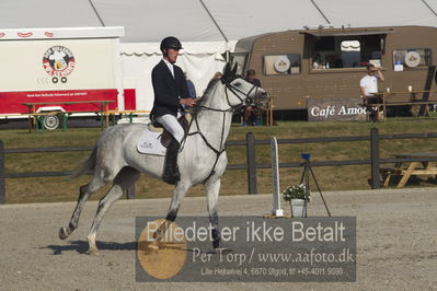 Csi1 two phases 135cm
Showjumping
Nøgleord: bart van der maat;cassirana del rilate