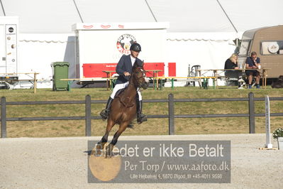 Csi1 two phases 135cm
Showjumping
Nøgleord: kristian skovrider;zocker 19