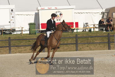 Csi1 two phases 135cm
Showjumping
Nøgleord: magnus jacobson;frederikson vdl